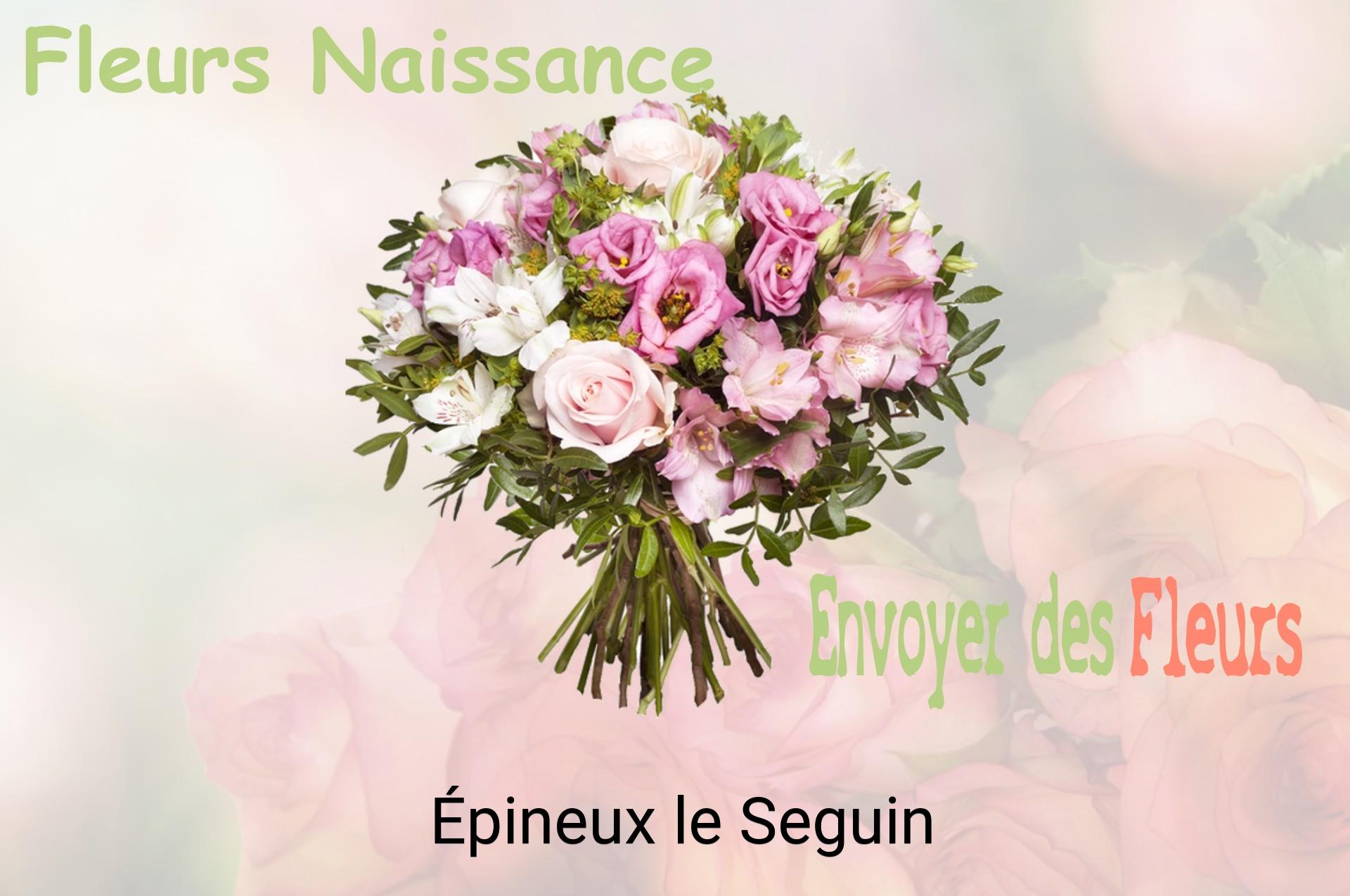 Bouquet de fleurs de naissance livré à Épineux-le-Seguin